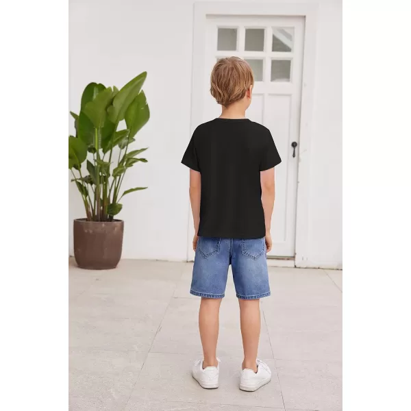 Arshiner Boys Cotton Hipster Crewneck T-Shirt Solid Color Pullover Tee for Kids Tops