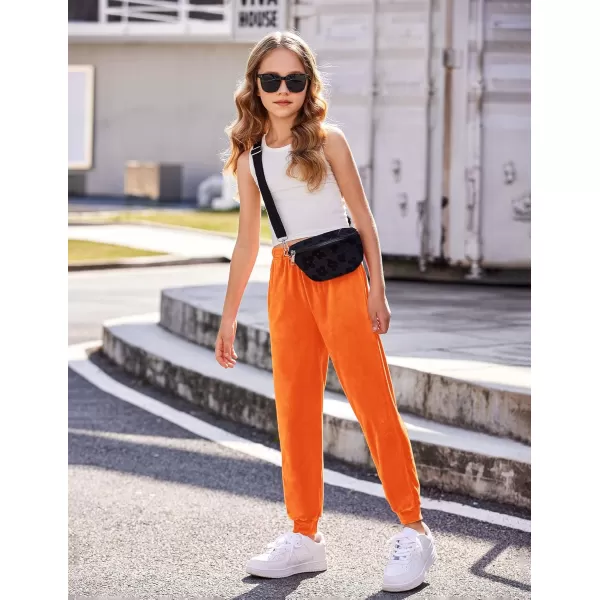 Arshiner Girls Velour 2 Pieces Tracksuits Outfits Athletic Hoodies Sweatshirts and Sweatpants Athletic Clothing Sets