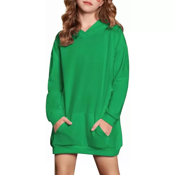 Arshiner Girls Hoodies Kids Long Pullover Hooded Sweatshirt with Kangaroo Pocket
