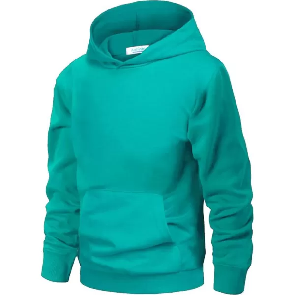 Arshiner Unisex Kids Soft Pullover Hooded Sweatshirt with Pocket Basic Hoodies Sportswear Age 4-13 Years
