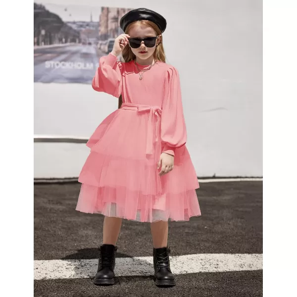 Arshiner Toddler Sweater Dress Little Girls Tutu Fall Winter Puff Long Sleeve Princess Party Birthday Tulle Dresses