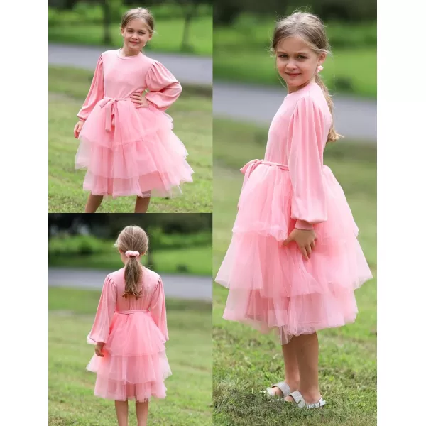 Arshiner Toddler Sweater Dress Little Girls Tutu Fall Winter Puff Long Sleeve Princess Party Birthday Tulle Dresses