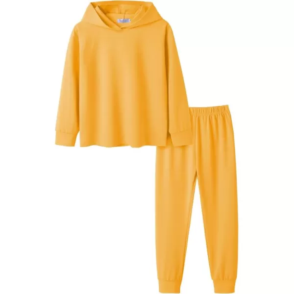 Arshiner Girl's 2 Piece Tie-dye Pullover Hooded Sweatshirt Set Sweatsuits and Sweatpants