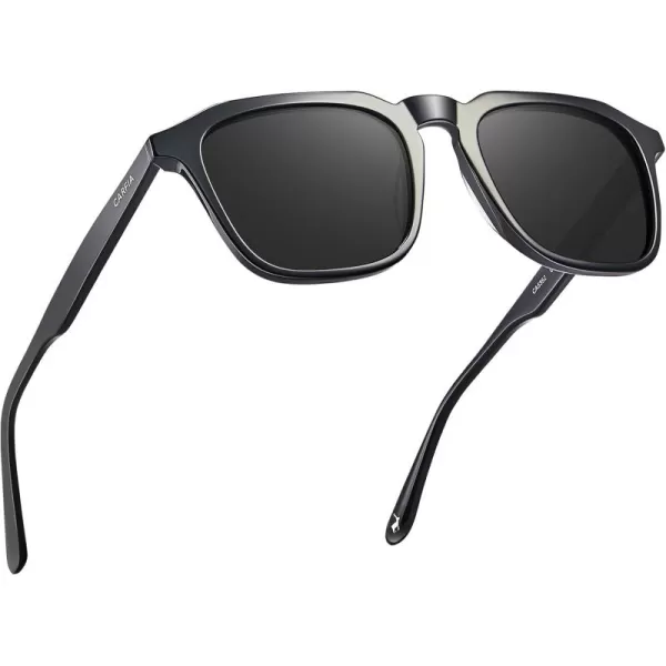 4. Black Frame Grey Lens