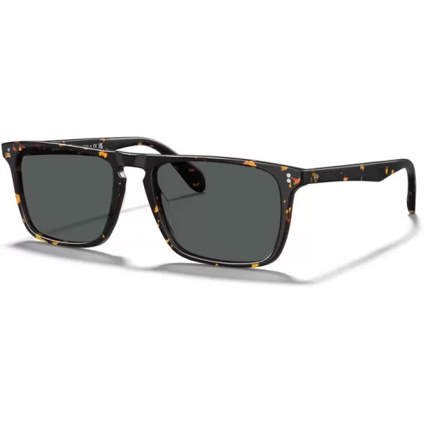 CARFIA Retro Polarized Sunglasses for Men UV Protection Handcrafted Acetate Frame Fashion Cool Sun Glasses CA535725 Tortoise Frame Grey Lens