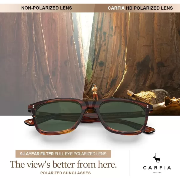 CARFIA Acetate Polarized Sunglasses for Men UV400 Protection Classic Retro Square Shades Driving Glasses1 Green Lens