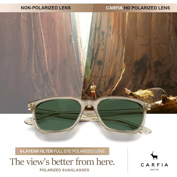 CARFIA Acetate Polarized Sunglasses for Men UV400 Protection Classic Retro Square Shades Driving Glasses7 Transparent Yellow Frame Grenn Lens