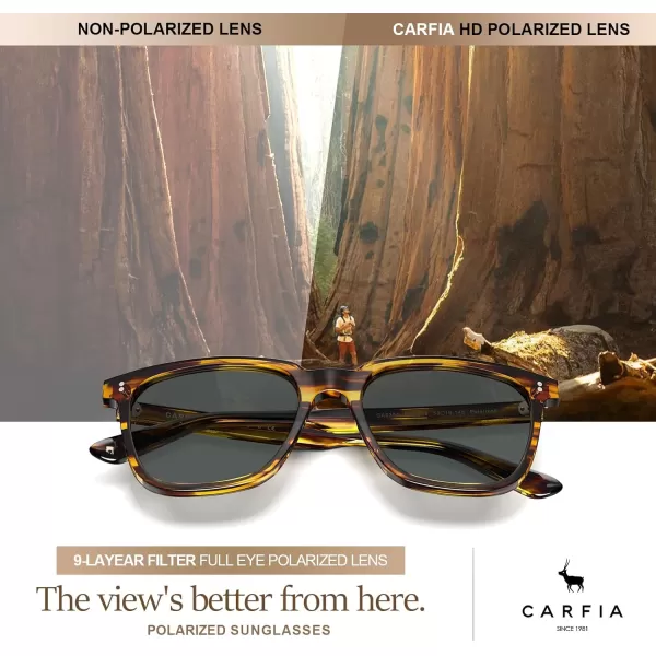 CARFIA Acetate Polarized Sunglasses for Men UV400 Protection Classic Retro Square Shades Driving Glasses9brown Streak Frame Grey Lens