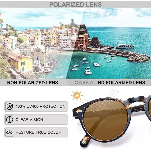 CARFIA Vintage Polarized Sunglasses for Men UV400 Protection Retro Fashion Eyewear Handcrafted Acetate Frame CA5288LR3 Brown Lens Tortoise Frame