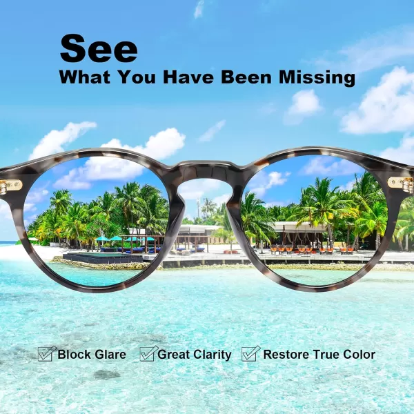 CARFIA Vintage Polarized Sunglasses for Men UV400 Protection Retro Fashion Eyewear Handcrafted Acetate Frame CA5288LR9 Grey Tortoise Frame Grey Lens