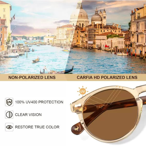 CARFIA Vintage Round Acetate Polarized Sunglasses for Women UV Protection CA52886 Brown Lens Brown Frame
