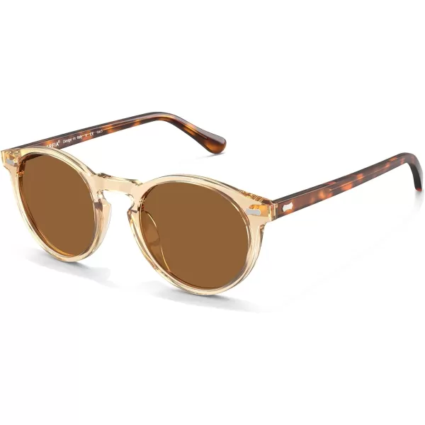CARFIA Vintage Round Acetate Polarized Sunglasses for Women UV Protection CA52886 Brown Lens Brown Frame