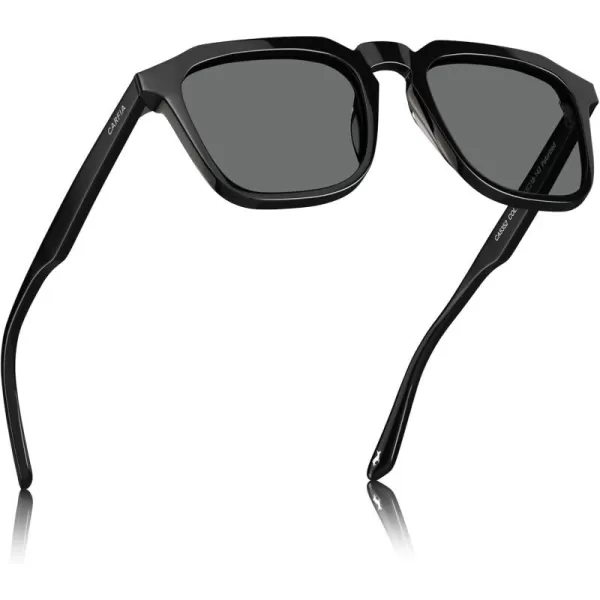3.black Frame Grey Lens