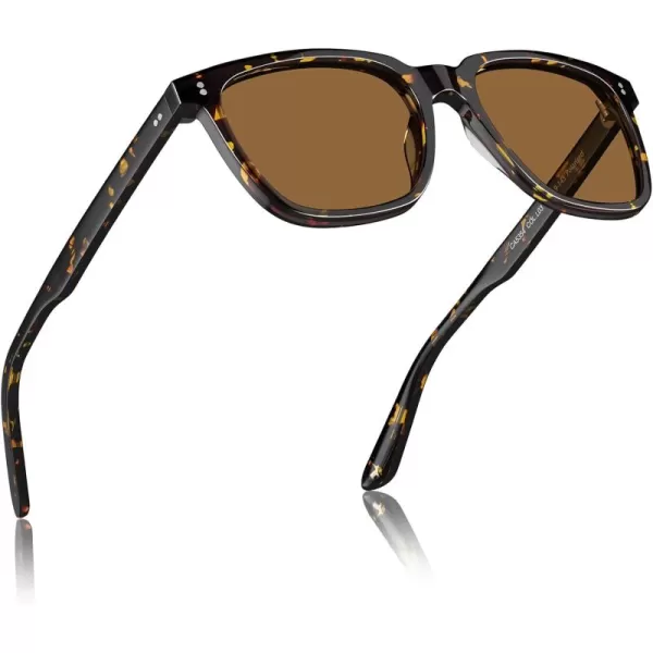 11 - Tortoise Frame Brown Lens