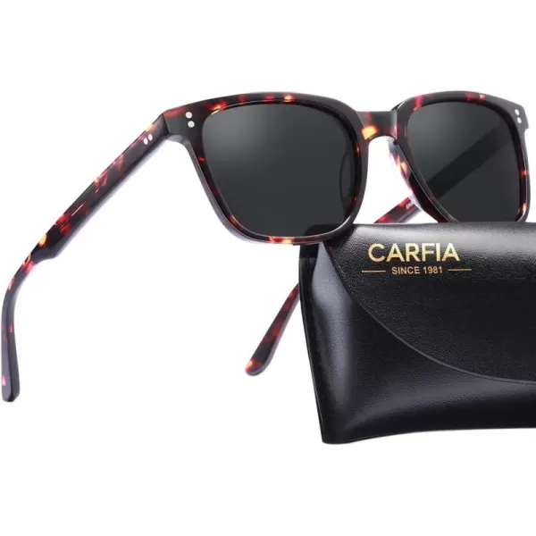 2 - Tortoise Frame Grey Lens
