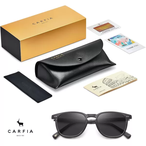 CARFIA Acetate Polarized Sunglasses for Men UV Protection HandCrafted Frame CA5285L4 Transparent Grey Frame Grey Lens