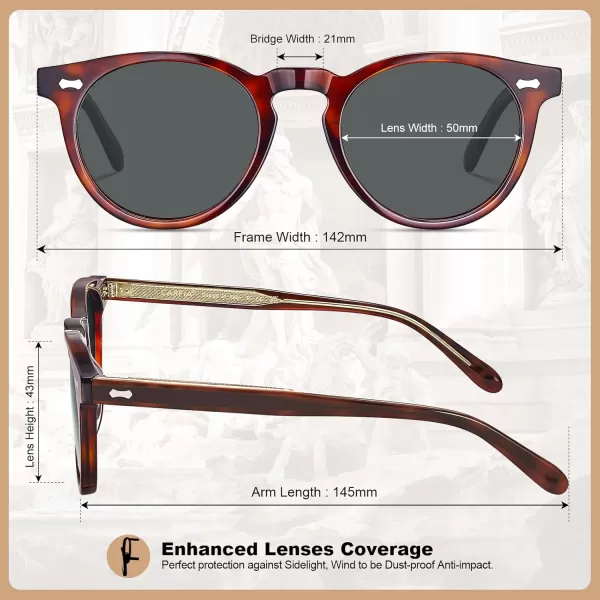 CARFIA Retro Acetate Polarized Sunglasses for Men UV Protection Vintage Round Frame Eyewear with Gold Filigree CA5506C Brown Tortoiseshell Frame  Grey Lens