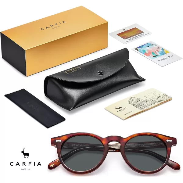 CARFIA Retro Acetate Polarized Sunglasses for Men UV Protection Vintage Round Frame Eyewear with Gold Filigree CA5506C Brown Tortoiseshell Frame  Grey Lens