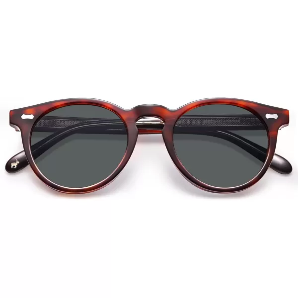 CARFIA Retro Acetate Polarized Sunglasses for Men UV Protection Vintage Round Frame Eyewear with Gold Filigree CA5506C Brown Tortoiseshell Frame  Grey Lens