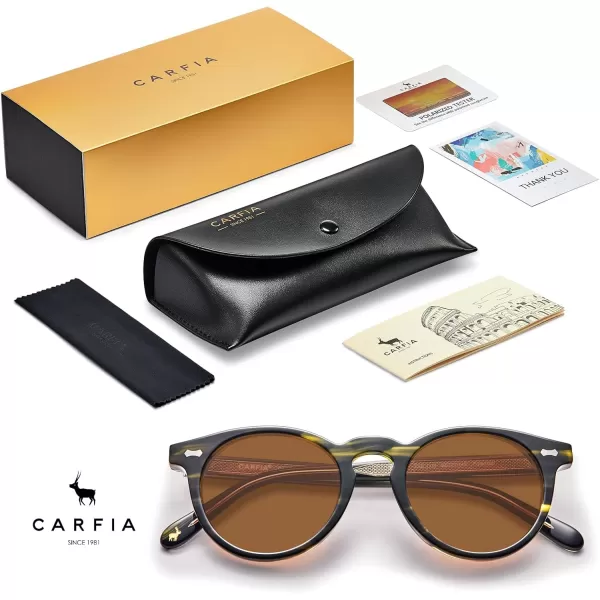 CARFIA Retro Acetate Polarized Sunglasses for Men UV Protection Vintage Round Frame Eyewear with Gold Filigree CA5506D Black and Green Floral Frame  Brown Lens
