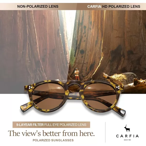 CARFIA Retro Mens Sunglasses Polarized UV400 Protection Small Round Acetate Italian Luxury Style Driving Shades6tortoise Frame Brown Lens