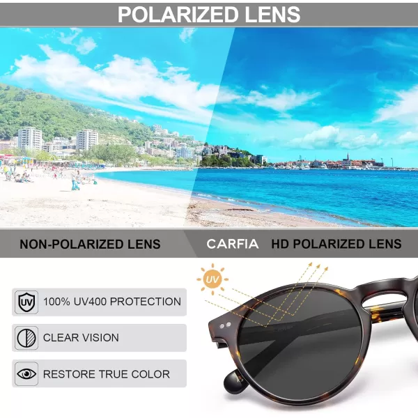 CARFIA Round Acetate Mens Sunglasses Polarized UV Protection Classic Retro Sun Glasses CA5289L3 Tortoise Frame Grey Lens