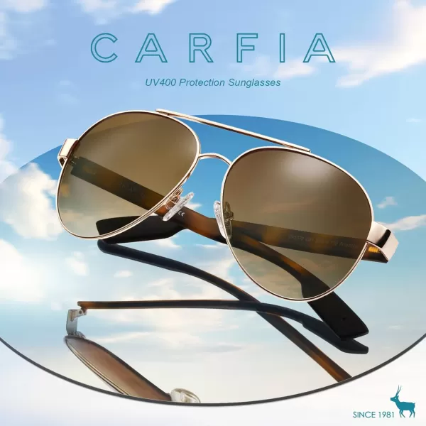 CARFIA Wide Temples Pilot Sunglasses for Men Polarized UV400 Protection Classic Trendy Style Eyewear CA53781 Gold Frame  Gradient Brown Lens