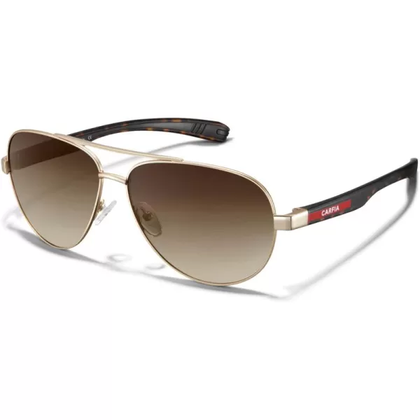 CARFIA Trendy Pilot Polarized Sunglasses for Men UV400 Lenses Lightweight TR90 Outdoor Eyewear CA53914tortoise Frame Gradient Brown Lens 1