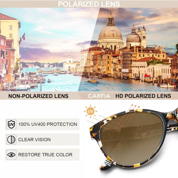 CARFIA Cateye Polarized Sunglasses for Women UV Protection Italy Handcrafted Acetate Frame with Embossed Pattern Wire Core1 Tortoise Frame Gradient Brown Lens