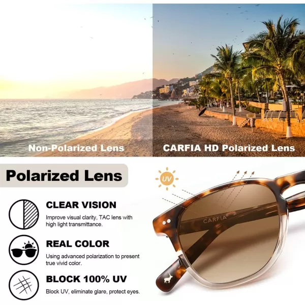 CARFIA Retro Polarized Sunglasses for Women Small and Medium Face UV Protection Handcrafted Acetate Frame Sunnies CA52857 Twotone Frame Gradient Brown Lens