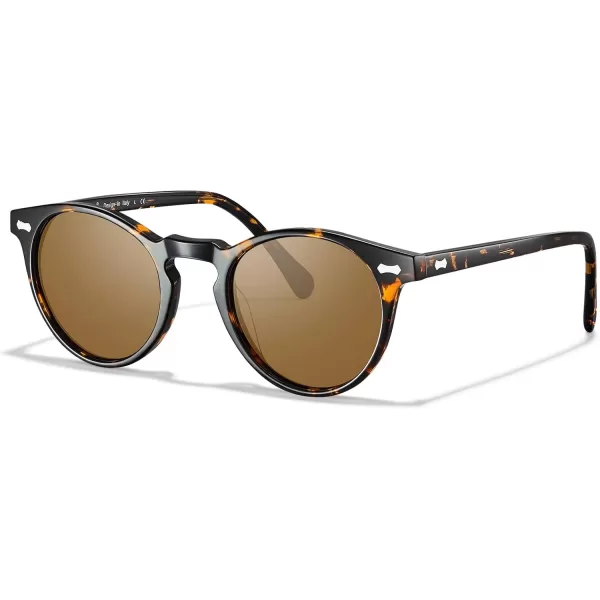 CARFIA Vintage Polarized Sunglasses for Men UV400 Protection Retro Fashion Eyewear Handcrafted Acetate Frame CA5288LR3 Brown Lens Tortoise Frame