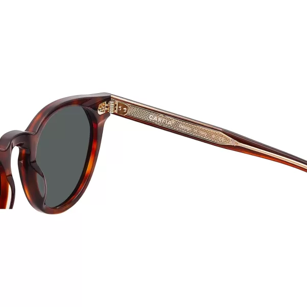 CARFIA Retro Acetate Polarized Sunglasses for Men UV Protection Vintage Round Frame Eyewear with Gold Filigree CA5506C Brown Tortoiseshell Frame  Grey Lens