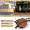 imageCARFIA Retro Acetate Polarized Sunglasses for Men UV Protection Vintage Round Frame Eyewear with Gold Filigree CA5506D Green Demi Frame  Brown Lens