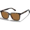 C: Tortoiseshell Frame & Brown Lenses