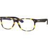 C: Matte Tortoise Frame