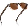 3-1.brown Stripe Gradient Frame Brown Lens