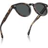 imageCARFIA Cool Retro Acetate Sunglasses for Men Polarized UV Protection Keyhole Round Shades with Embossed Pattern Wire Core2 Tortoise Frame Grey Lens