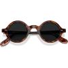 imageCARFIA Retro Acetate Small Face Polarized Sunglasses for Men Cool Classic Round Sun Glasses CA2501R22 Black Lens