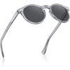 5-1. Transparent Gray Frame Gray Lens