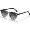 6-3. Gray Gradient Lens