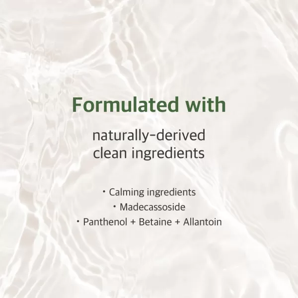 ROUND LAB Mugwort Calming Toner 300ml  Madecassoside Soothing Water Type Toner