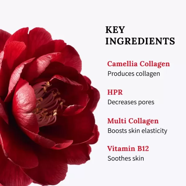imageROUND LAB 1025 Dokdo Cleanser 150mlCamellia Deep Collagen Firming Mask 4ea Hydration toner gentle exfoliation soothing collagen mask Pore Minimizing