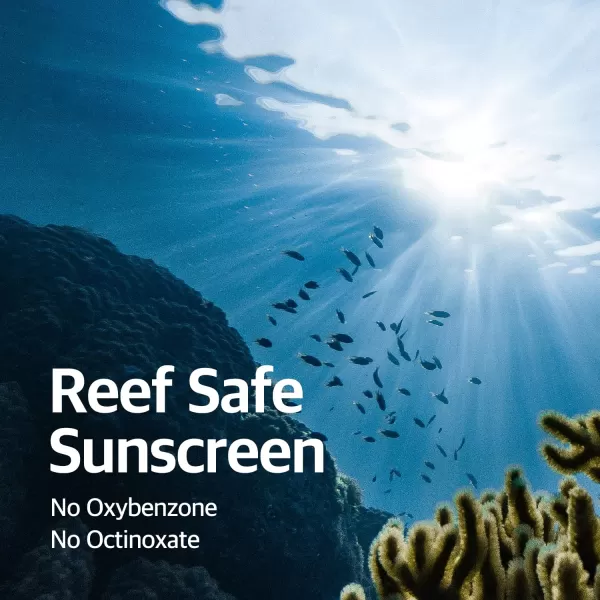 imageROUND LAB Birch Juice Mildup Sunscreen UV LOCK 169 Fl Oz SPF 50 broad spectrum Mineral Zinc Oxide Sunscreen for Sensitive Skin Control Oil and Sebum Ocean FriendlyReef Safe Korean Sunscreen