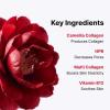imageROUND LAB 1025 Dokdo Toner 150mlBirch Juice Cream 80mlCamellia Deep Collagen Firming Mask 4ea Glass Skin Night Routine Hydration for Sensitive Skin Collagen mask