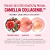 imageROUND LAB Camellia Deep Collagen Firming Mask 4ea ampamp Firming Cream  30min quick hydration soothing collagen mask Pore Minimizing