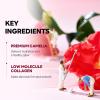 imageROUND LAB Camellia Collagen Mask 4ea  Camellia Deep Collagen V Lifting Gel Mask 14ea Double Chin Mask Instant Cooling ampamp Depuffing Korean Skincare