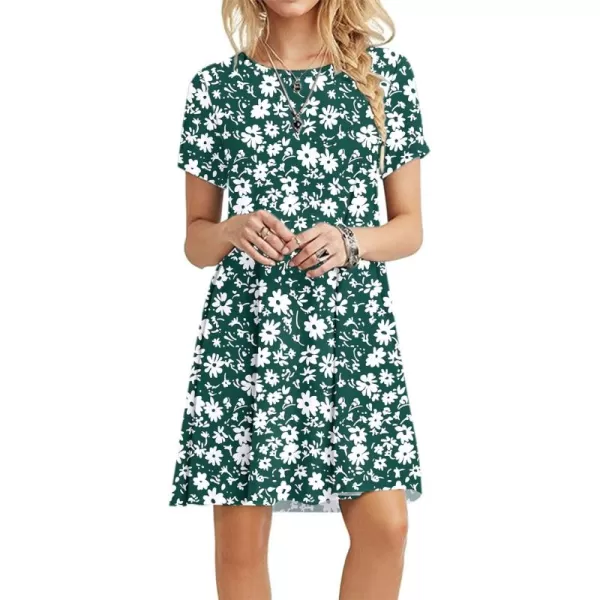 MOLERANI Womens Casual Plain Simple TShirt Loose DressGreen Daisy