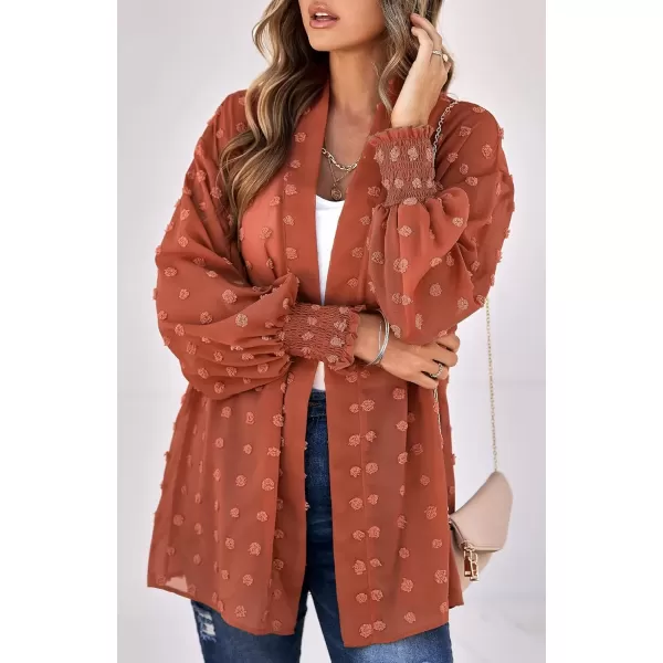 imagechouyatou Womens Casual Bishop Sleeve OpenFront Flowing Chiffon Swiss Dots Tunic Tops BlouseRusty Red