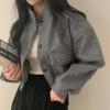 imagechouyatou Womens Stand Collar Wool Blend Cropped Trench Coat Button Front Short Jacket Coat with pocketsGrey