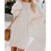 imagechouyatou Womens Winter Furry Pullover Sweater Dress Long Sleeve Fuzzy Fleece Warm Sweater Short Dress